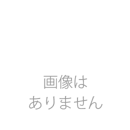 デュオ メディ 片脚ベルト付ストッキング 右脚用【V253・V263ロング】 クラス2(つま先なし)