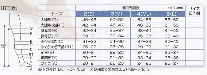 サイズの表記について