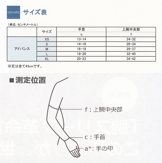 サイズについて