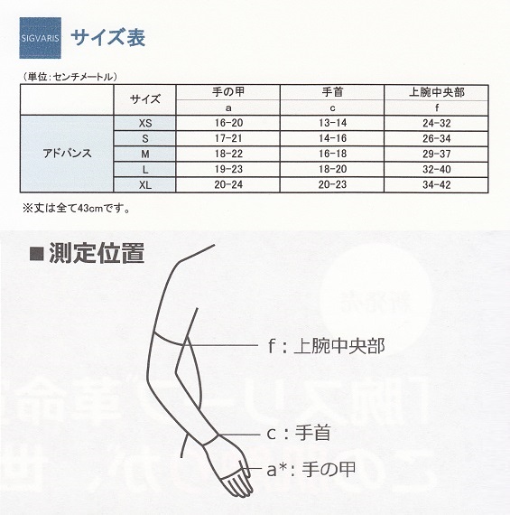 サイズについて